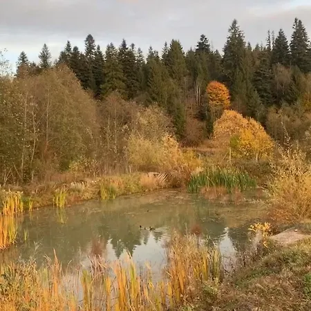 In Muntii Vrancei - - Lepsa Cu Ciubar Si Sauna بيت خشبي *